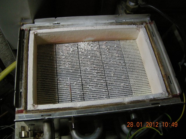 DSCN9012 (Small)